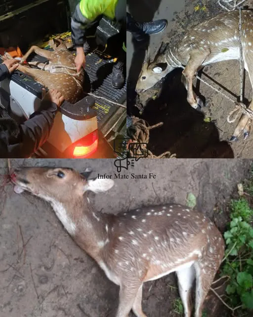 524338281_719640484226287_6396019631712954839_n