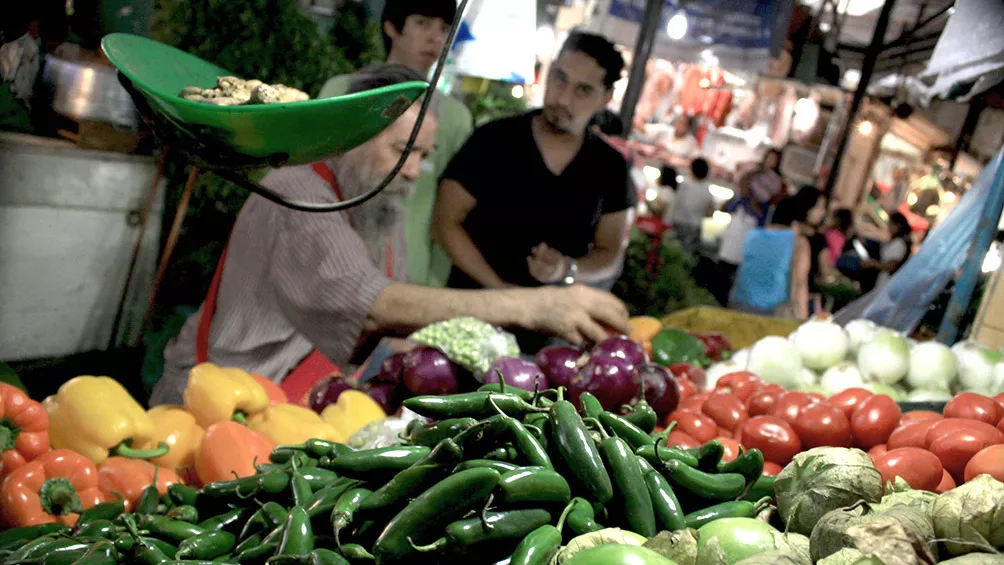 verduras alimentos