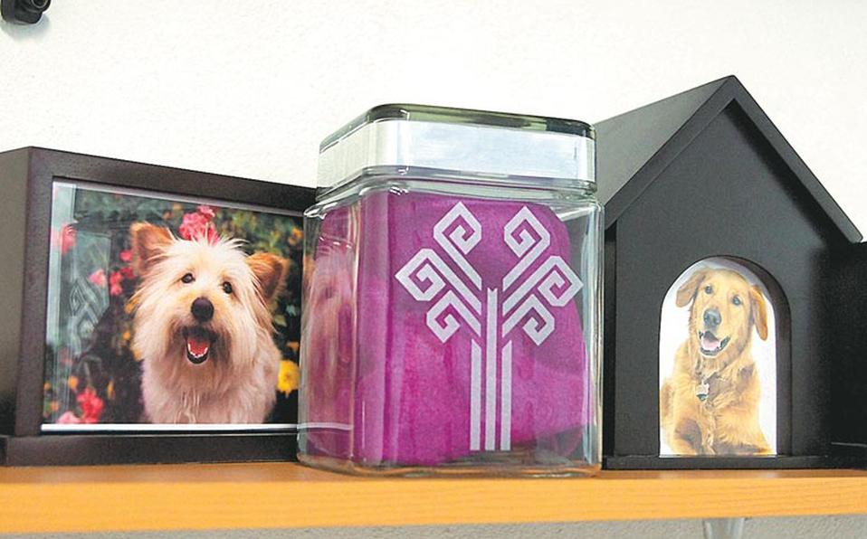 alternativa-cremar-animales-llevarlos-casa_0_17_777_484