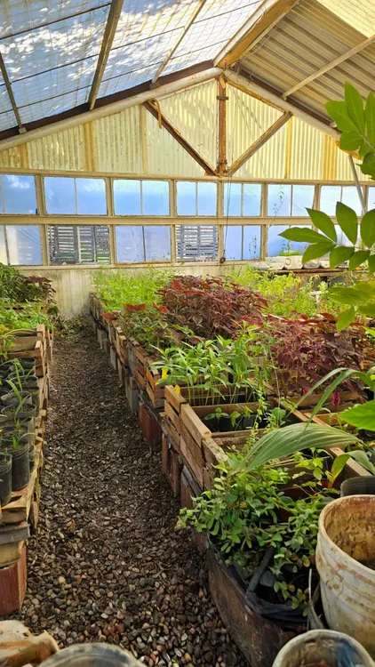 WhatsApp Image 2026-02-08 at 17.58.49