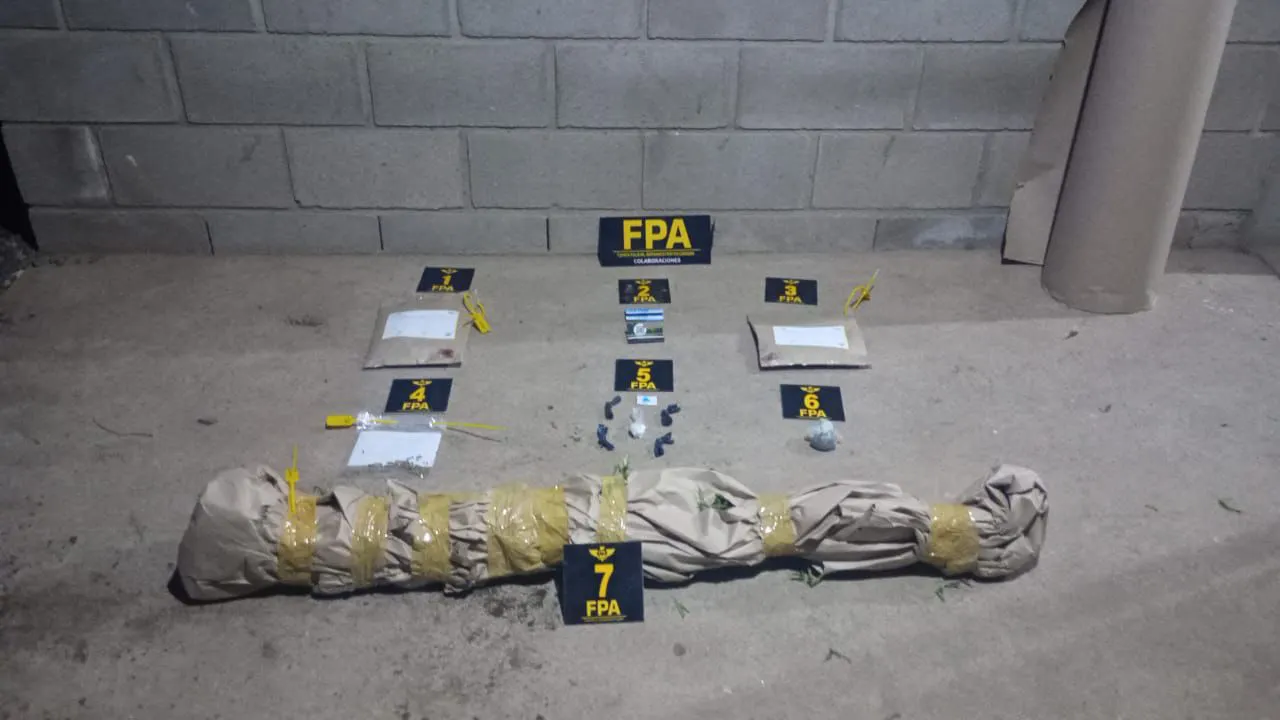 a698e75c-b354-4a15-ad54-8adeb1ef91b4