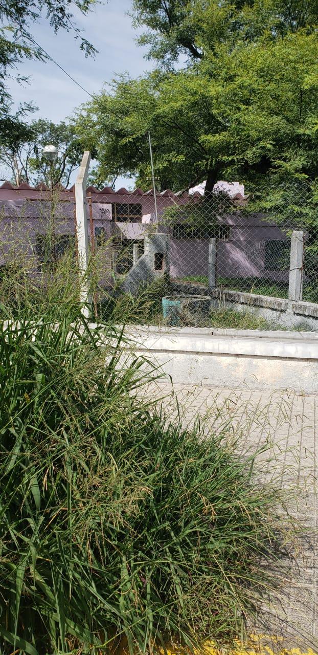 148219776_3692122634228090_867703289806603754_o