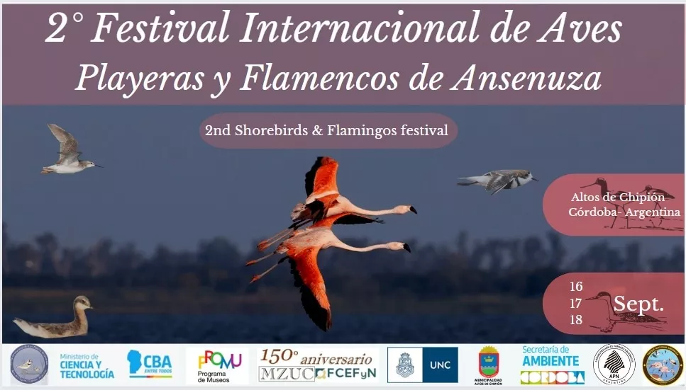 Flyer-Horizontal