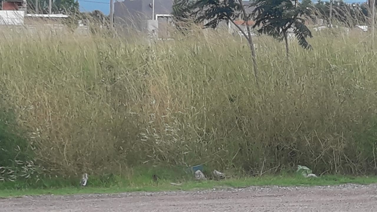 059a442a-466c-4403-ba0f-bc441280ceb6