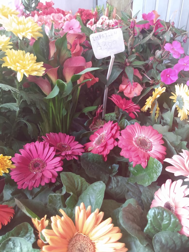 860d7aa0-9c90-402e-8cb0-9e264c258bda