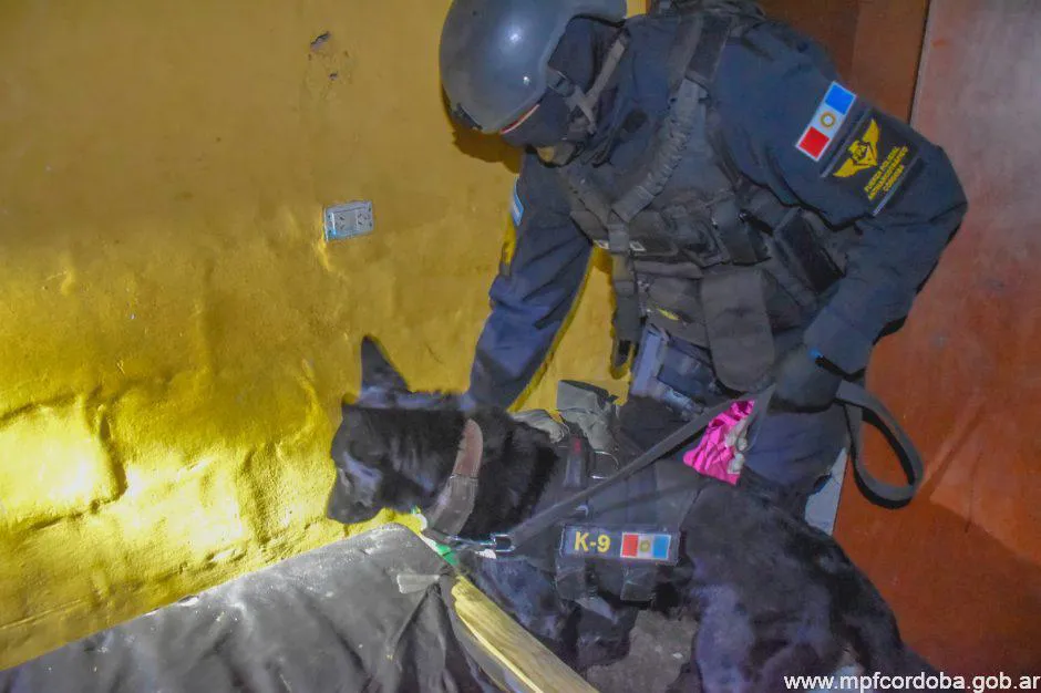 WhatsApp-Image-2023-06-23-at-10.08.00-940x626