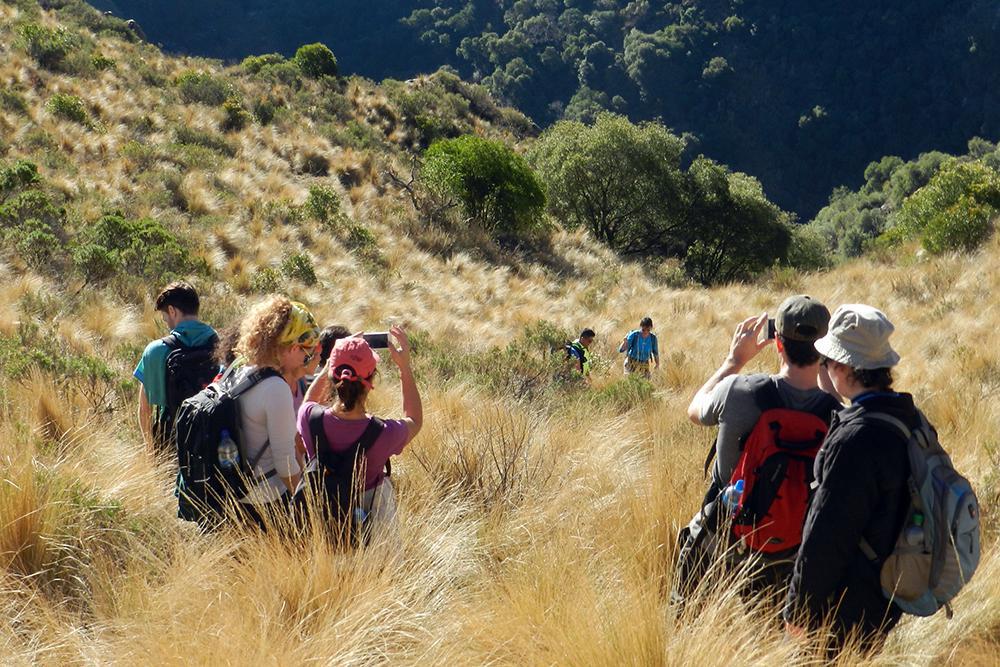 multimedia.grande.b6186f49256cfee1.74757269736d6f2061637469766f2030303030325f6772616e64652e4a5047