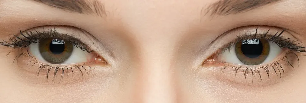 Banner_ES_Anisocoria_Blog_1480x500