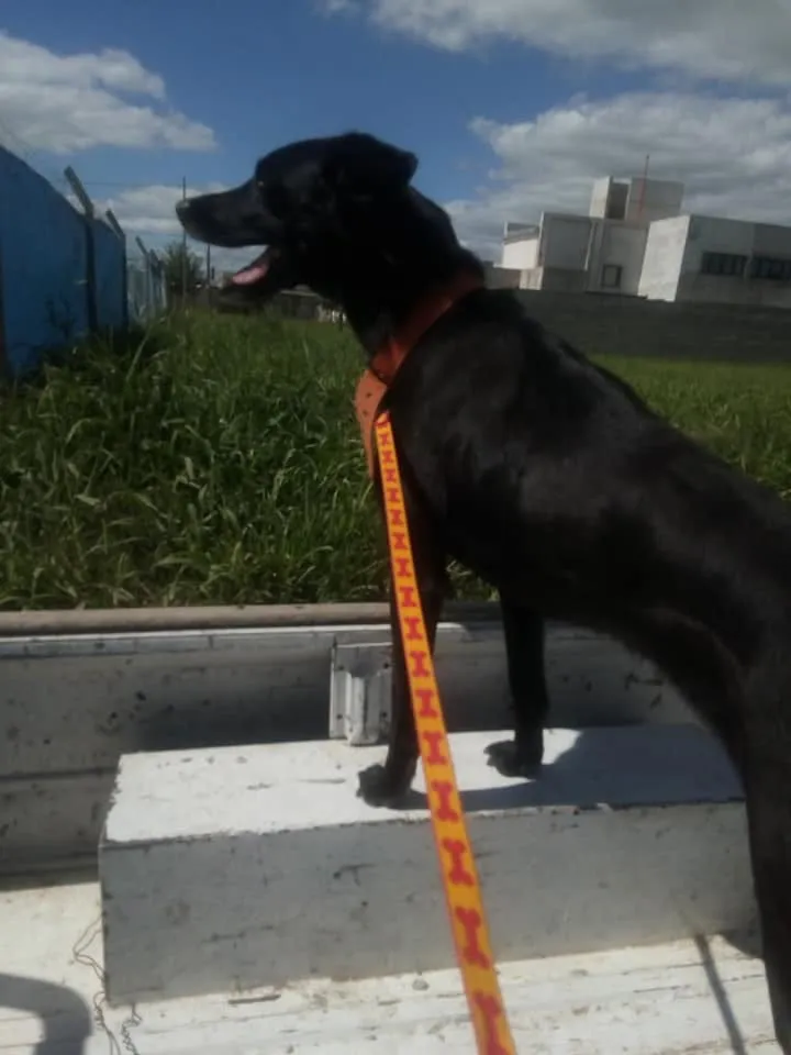 9f2ffc6a-503b-4759-a830-d1d0f980a375