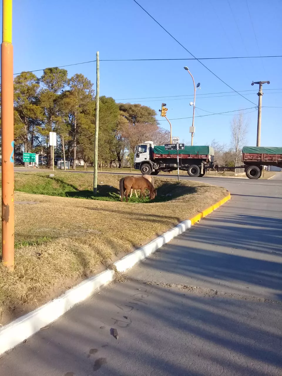 b2f65c6e-a984-4574-b189-57d85a9b4617