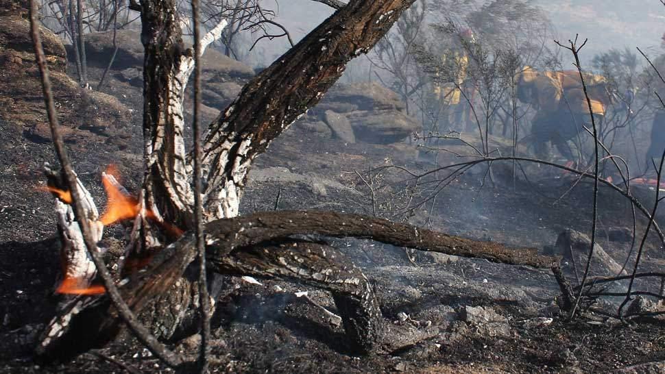 incendios_12_1602617003