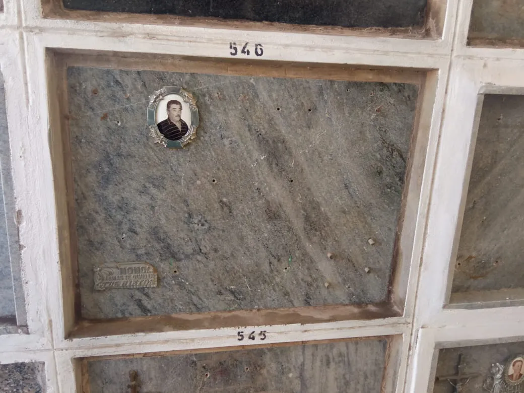 d4852589-d414-4487-b66e-3c5b63ad8975