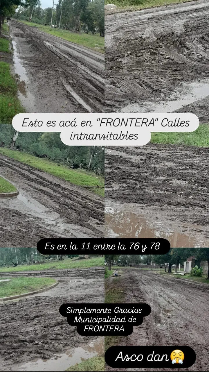 16a6f7c4-f3fc-48ab-8ab1-b653de9c7cab