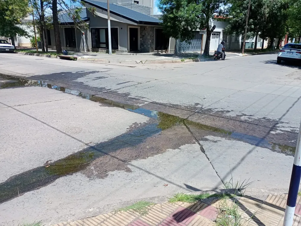 65e71fc6-4adb-4bc6-9227-d14258b1edec