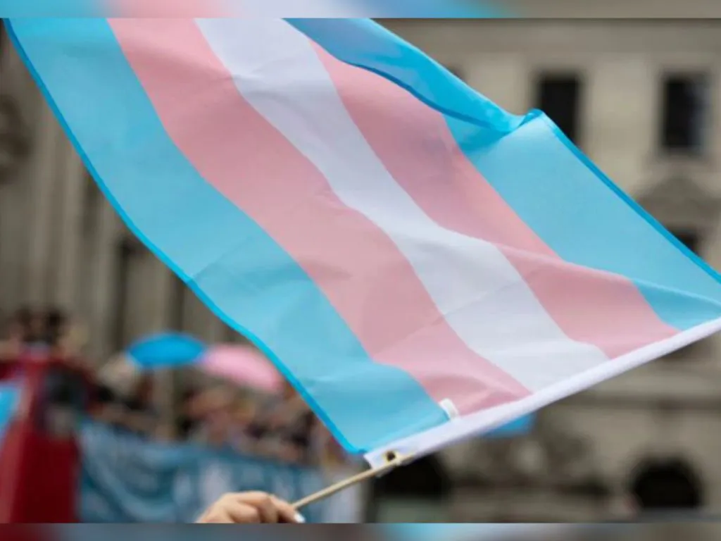 relevamiento-identidades-trans-y-no-binarias-1024x768