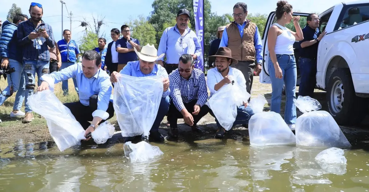 pescadooooooooooooooooooooooooooooooooooooooo