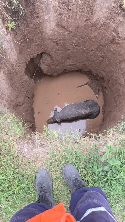 571155629_1428485425948389_3673642380032363712_n