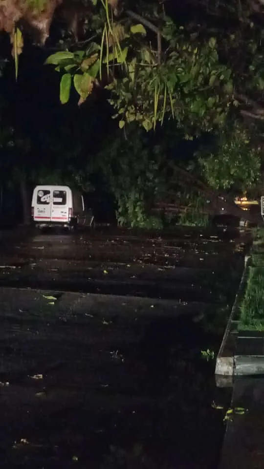 3bb95be0-7a77-40f6-9e7f-6d49c979c7d2