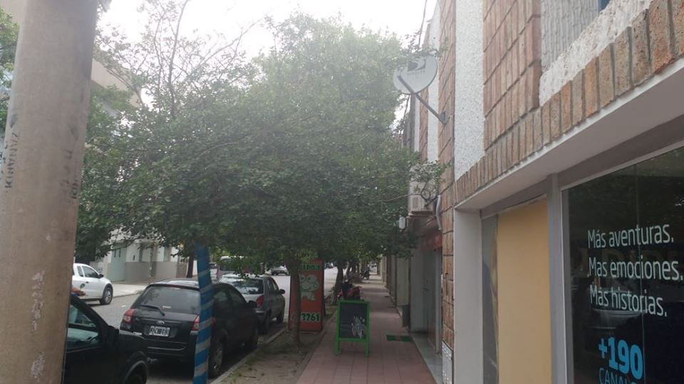 48384423_2182145391998354_5642758304414302208_n