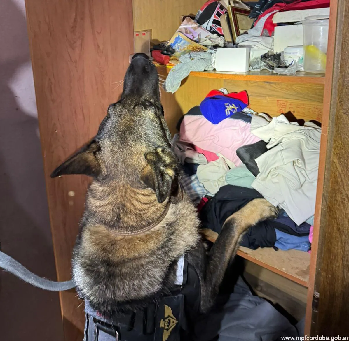 WhatsApp-Image-2024-08-31-at-10.59.07