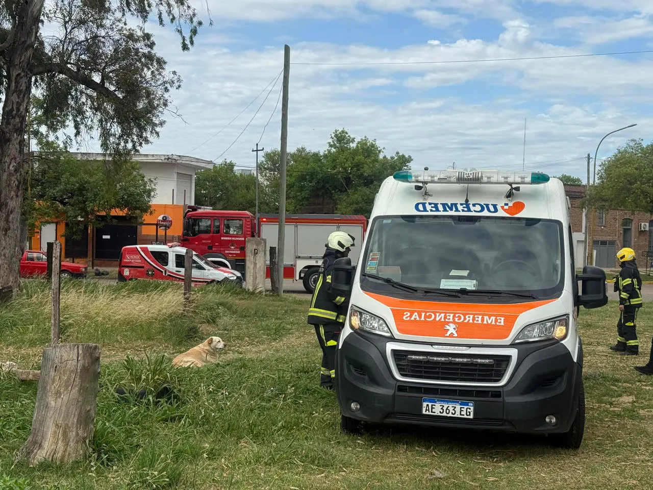 14c82d2a-50eb-4236-bd44-faec8dce254b