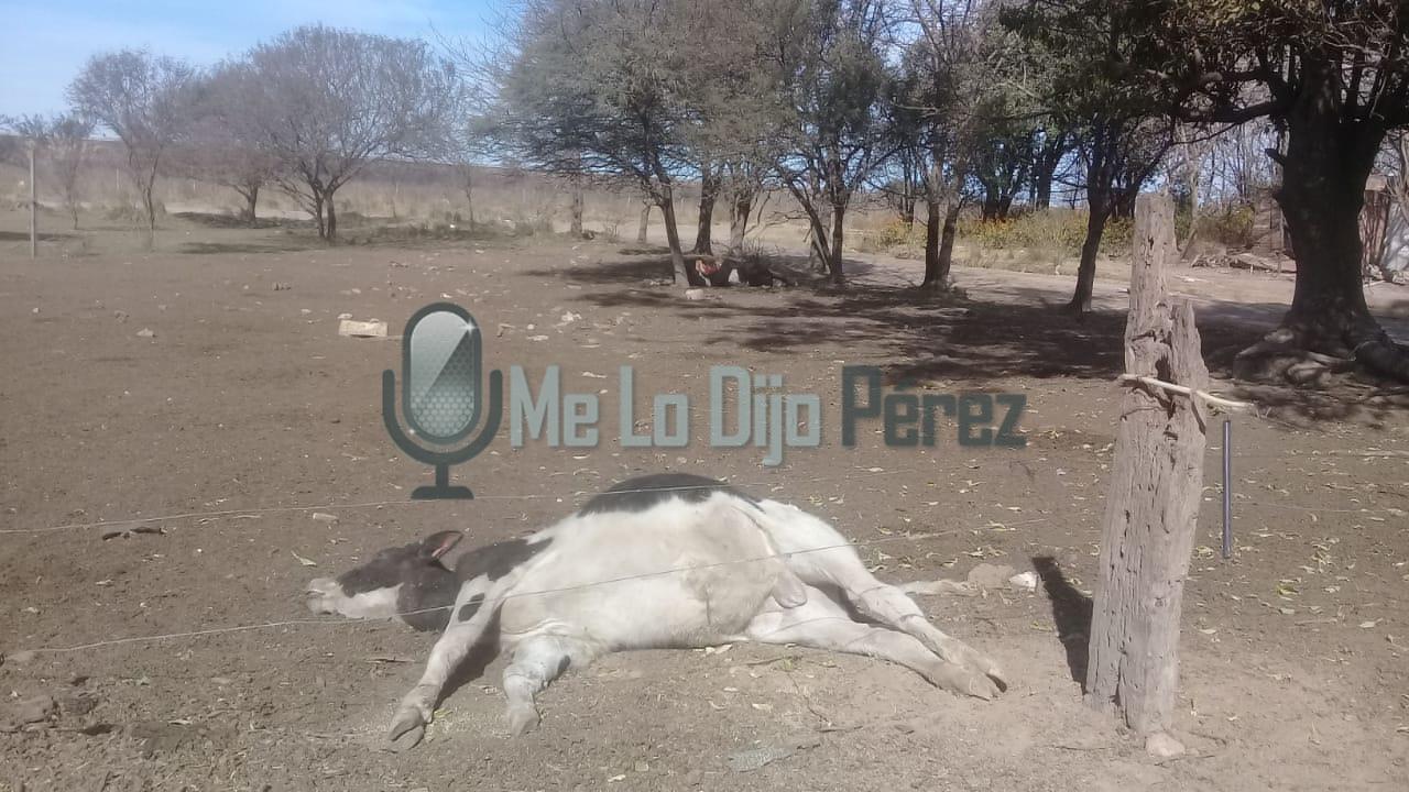 09d131cf-e63a-4a50-b2bd-2cf4066e9f41