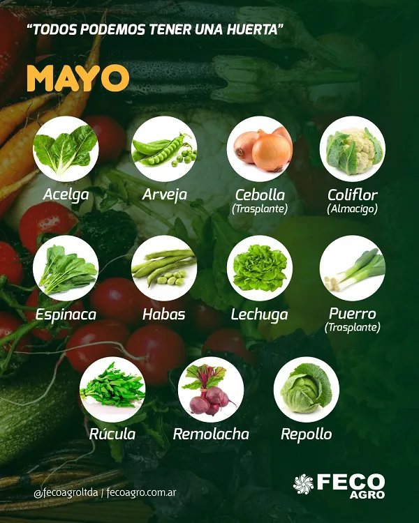 que-sembrar-en-mayo-en-el-hemisferio-sur