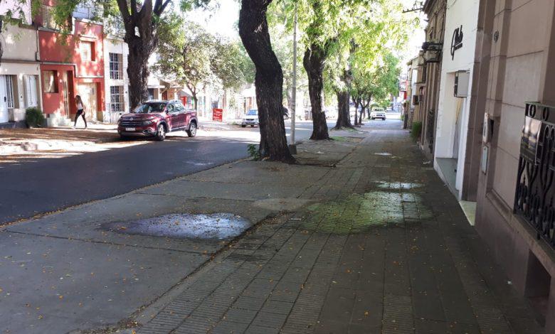 tipas-parana-780x470