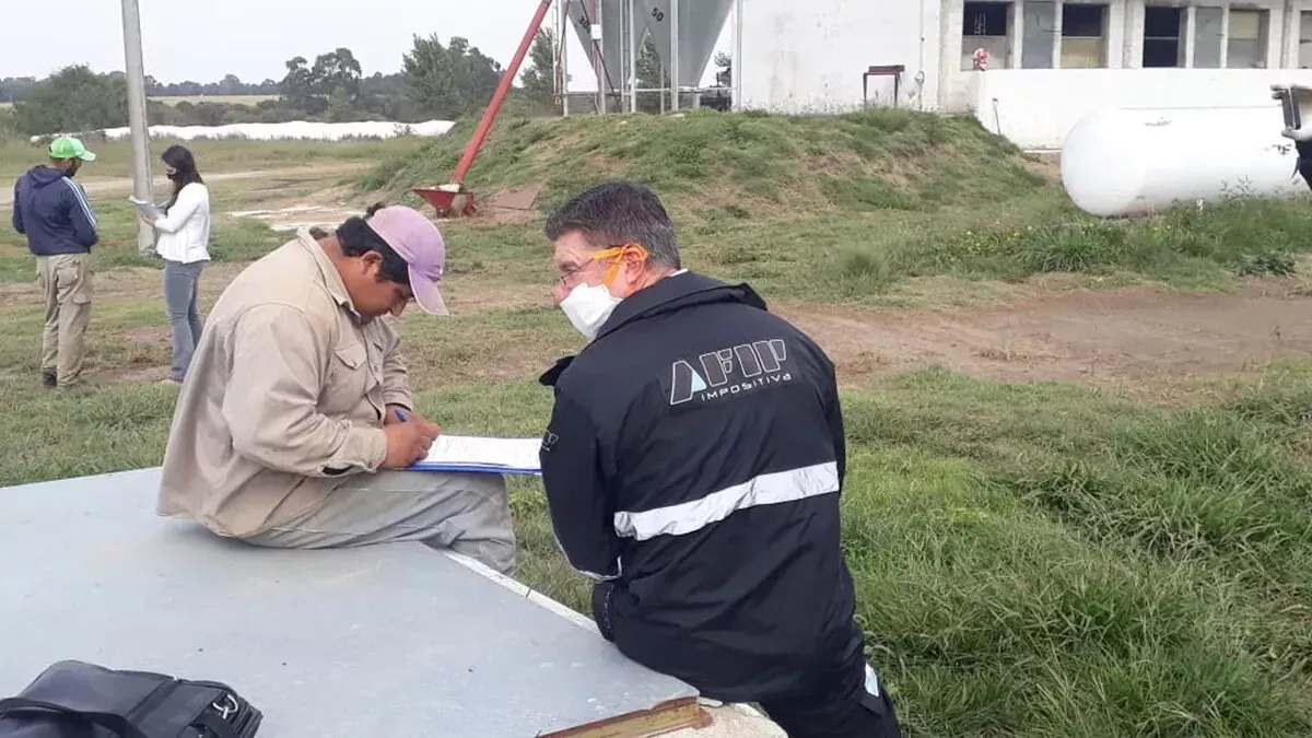 AFIP TRABAJO