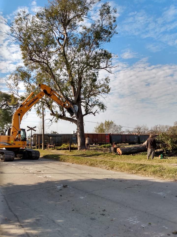 208859877_4114732078633808_672872627384965599_n