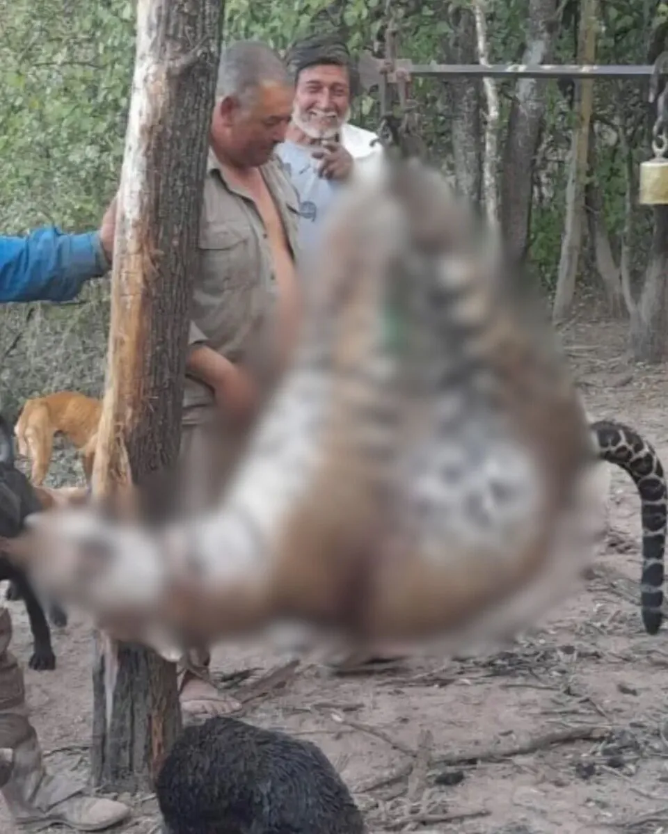 860964-dise-c3-b1o-20sin-20t-c3-adtulo-20-281-29-2