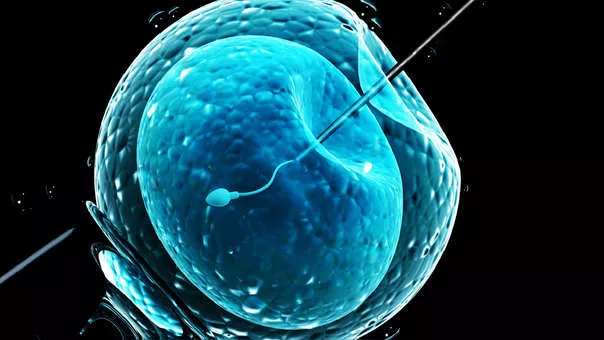 fertilización asistida