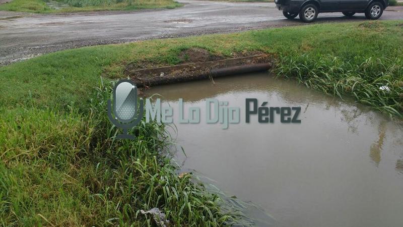 15698185_1197070313733347_5718568378273989032_n