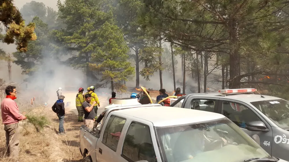 mileiiiiiiiiiiiiiiiiiiiiiiiiiiiiiiiiiiiiiiiiiiiiiiiiiiiiiiiiiiiiiiiiiiiiiiiii