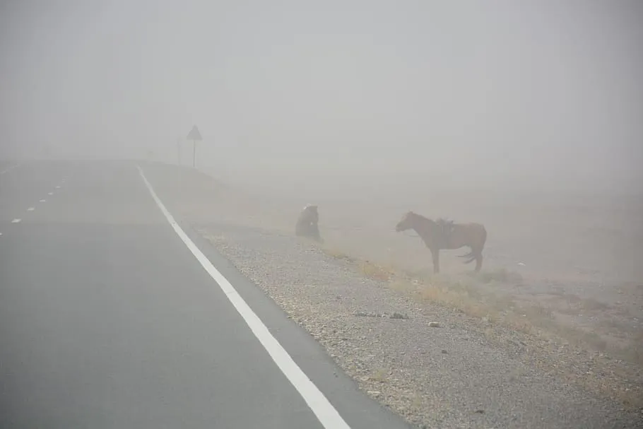 sand-storm-man-horse-mongolia