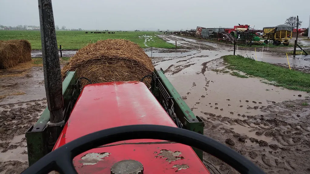 lluvias-campo-septiembre23