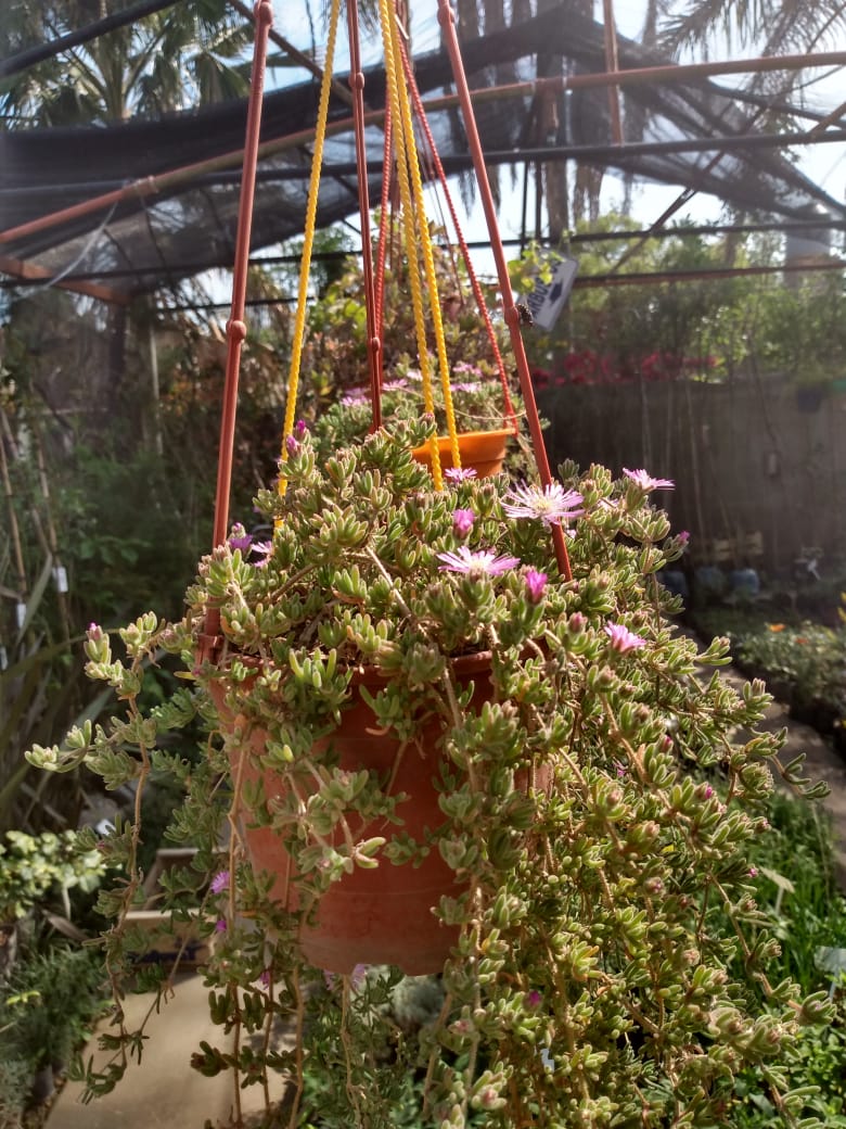 fcfeee63-3c78-487d-a354-c794fbb153e3