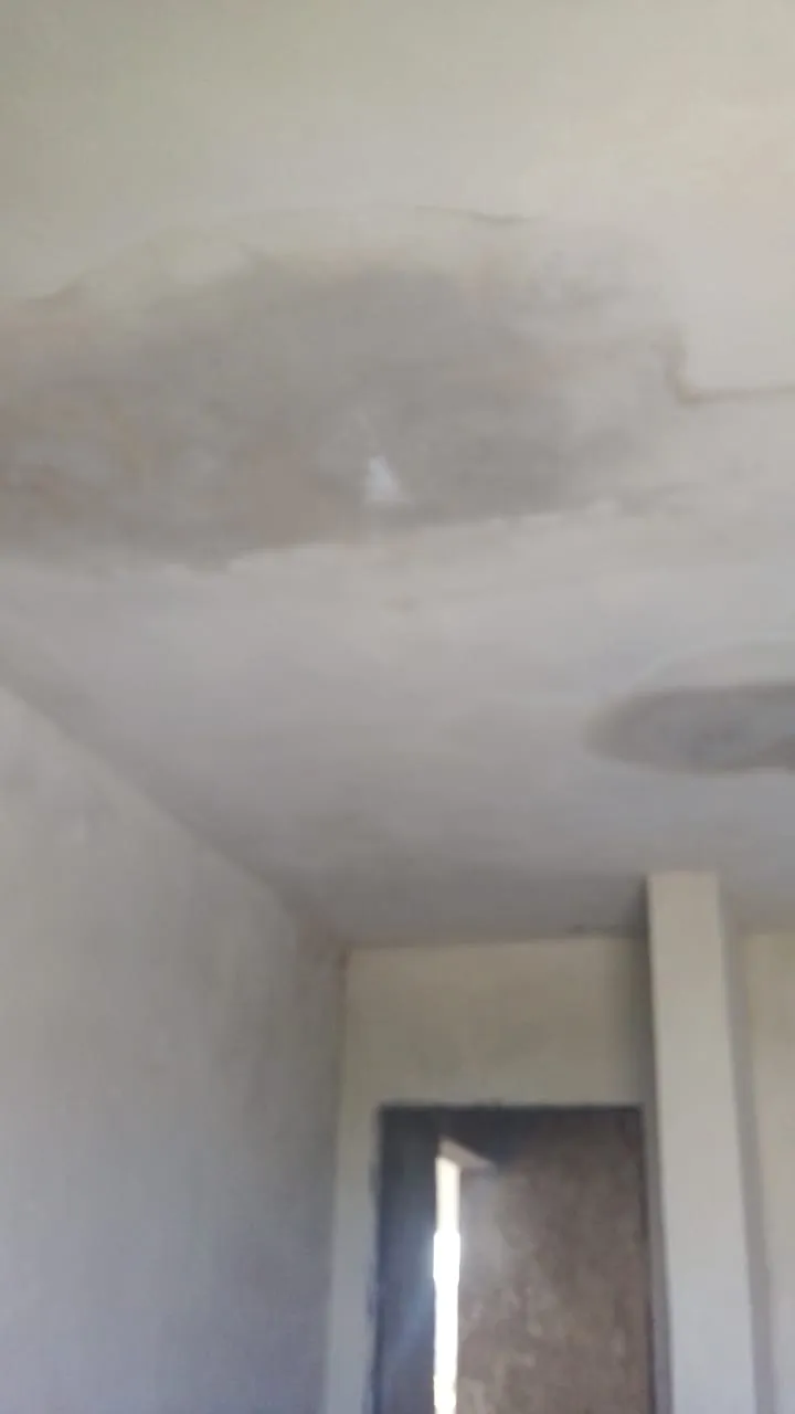 28e5a2c8-409b-401e-85e7-555c3a0404b2