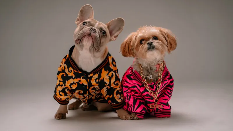 ropa-perros