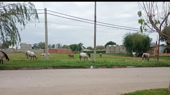 92f9922b-5511-4ecc-a967-ee560c316868