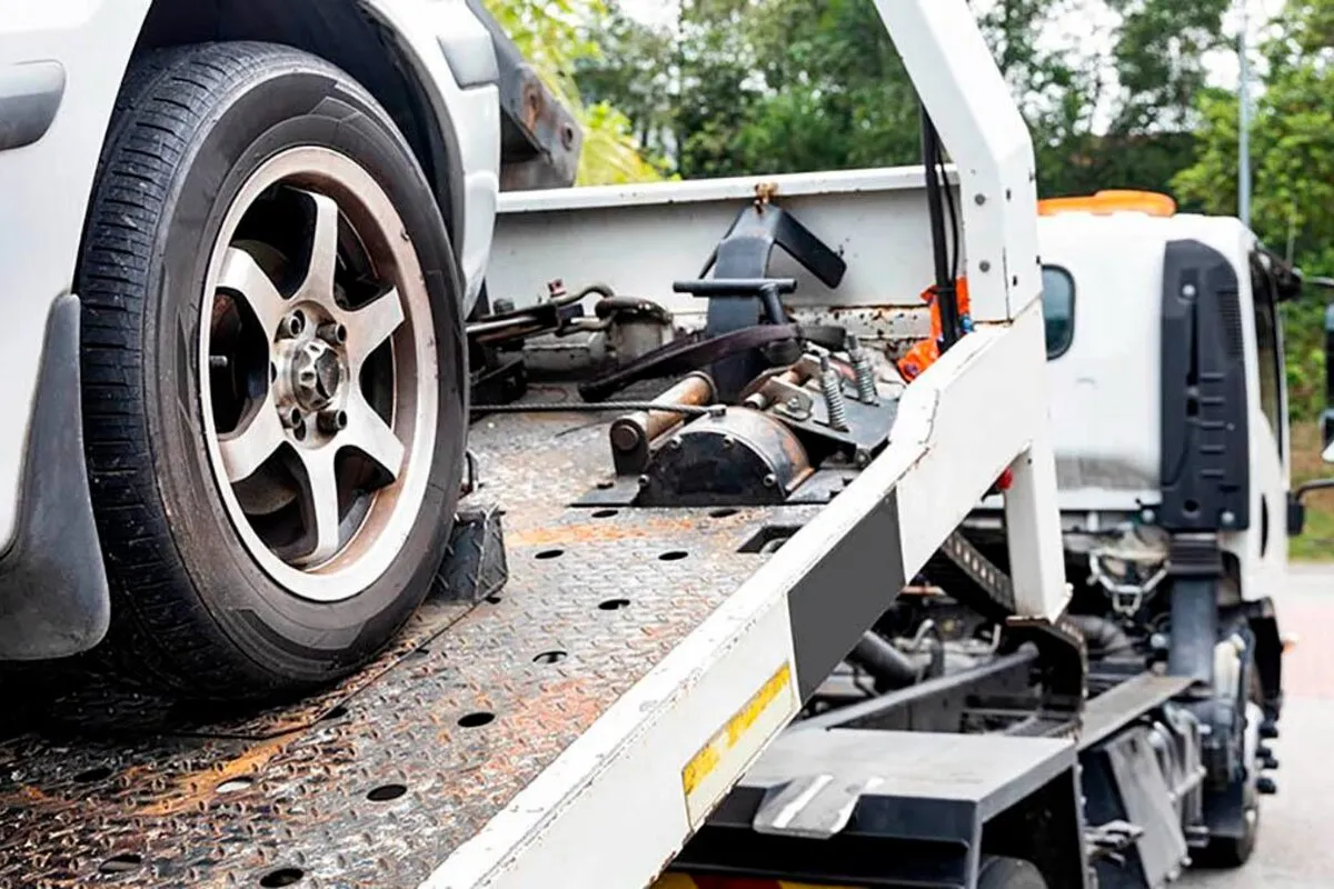 809540-imagen-20de-20whatsapp-202024-01-22-20a-20las-2012-55-17-2187ca9d