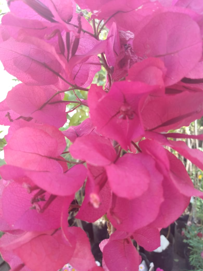 1f2d1553-e67c-4d56-9046-0f8d0ae75776