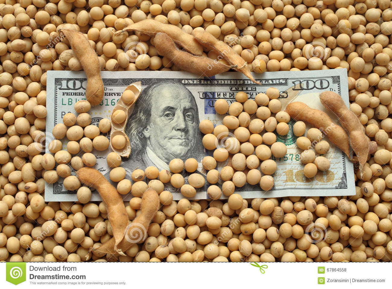 concepto-agrícola-soja-y-dinero-67864558