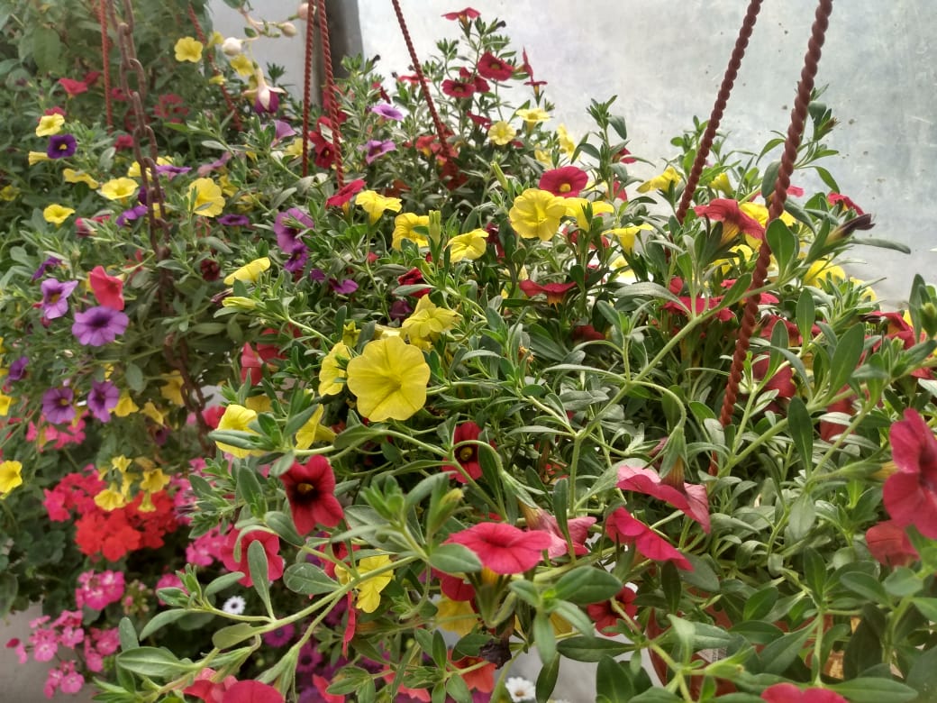 e7236fb2-a0c9-405a-911b-4677a13aa4c6 (1)