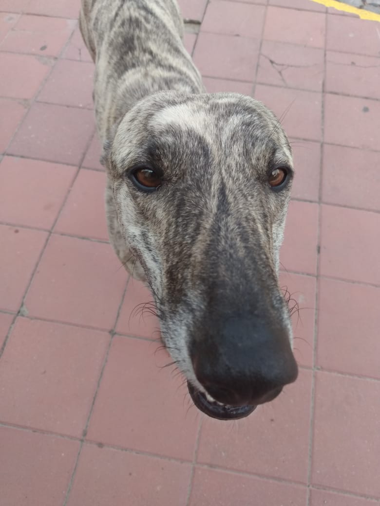 8621d6bb-6ff7-4e85-baa0-5507835946d2