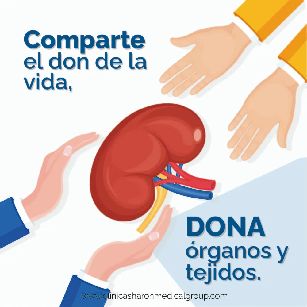 donacion-sharon