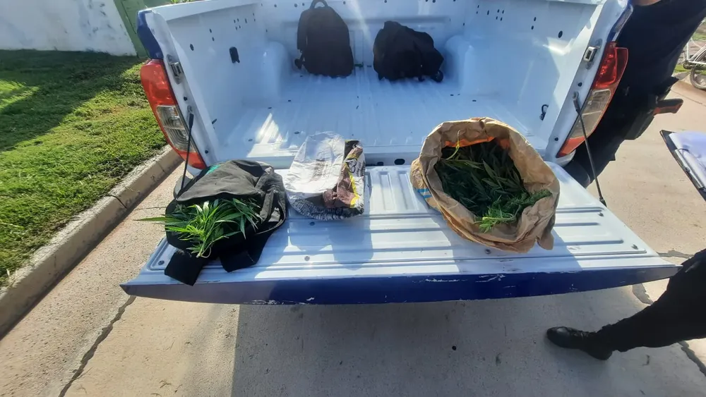 4657466c-32a2-4598-aa55-4812ec99d37e