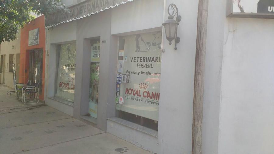 WhatsApp Image 2018-03-14 at 11.02.18 AM