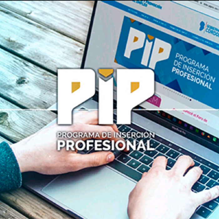 PIP