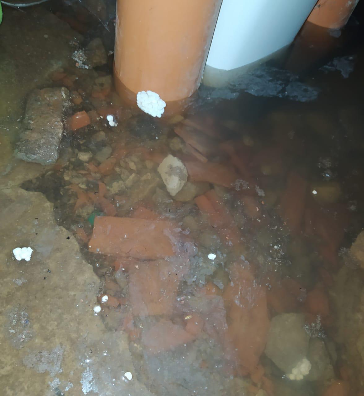 c9fc1a87-c4b4-42c4-a264-813af26b1d6a